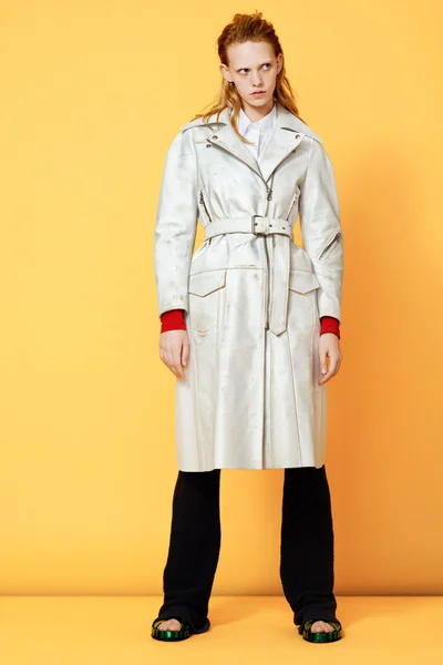 Look 18